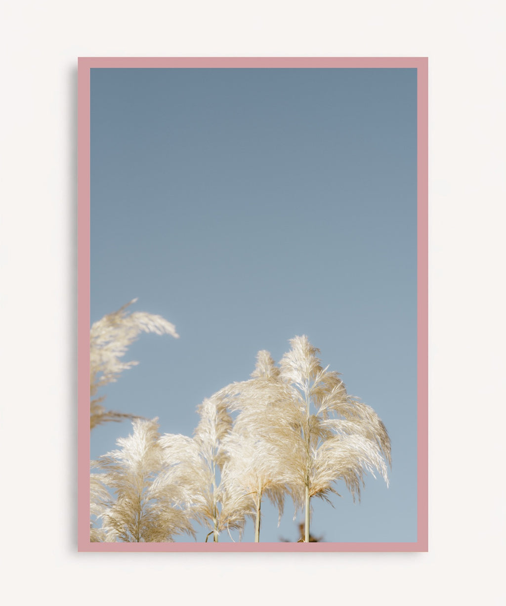 Pampas Blancas