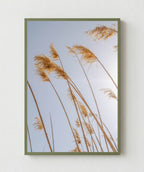 Pampas al Viento