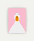 Pato