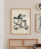 Perro en Scooter