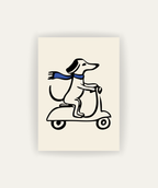 Perro en Scooter