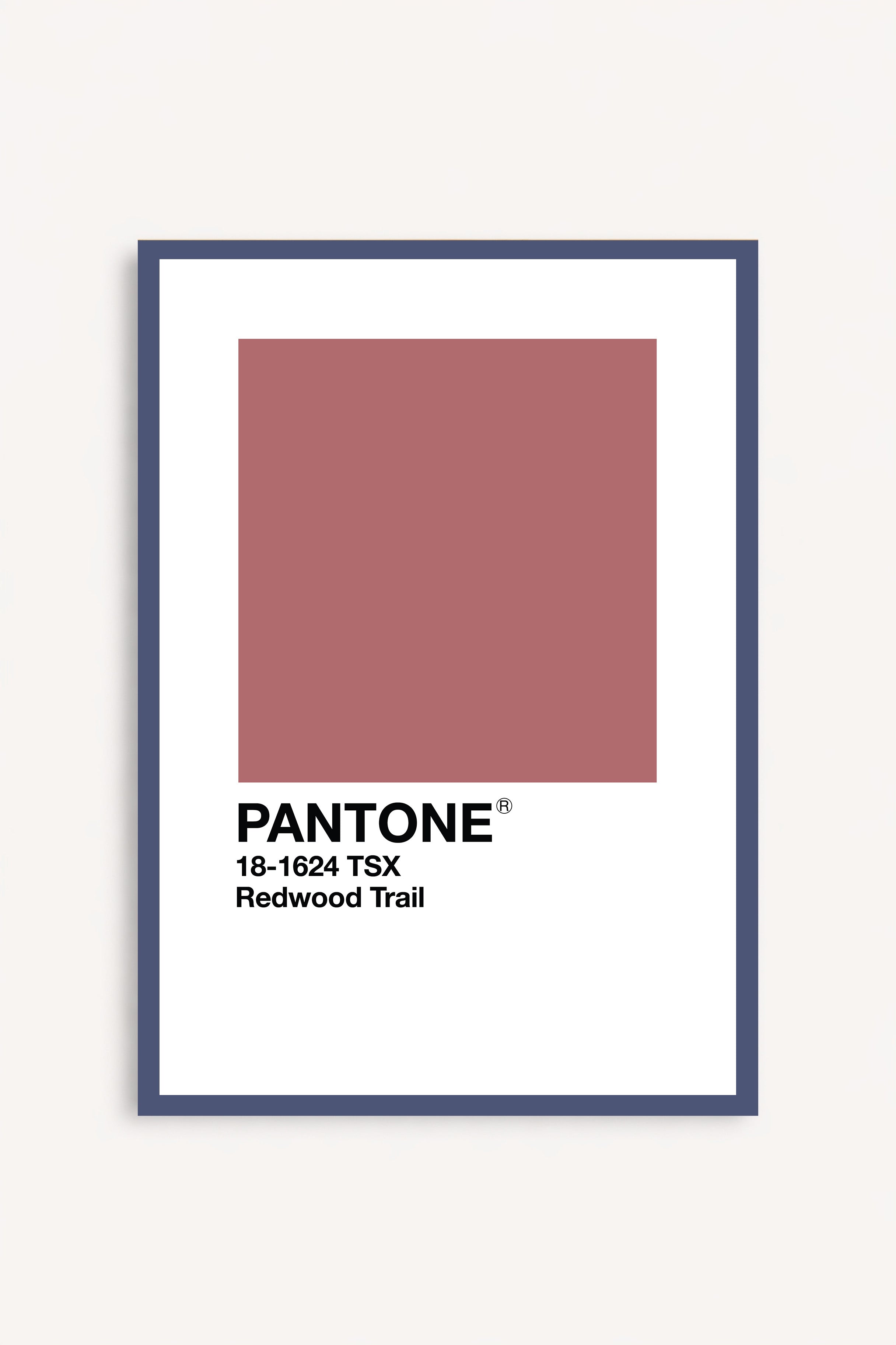 Redwood Trail