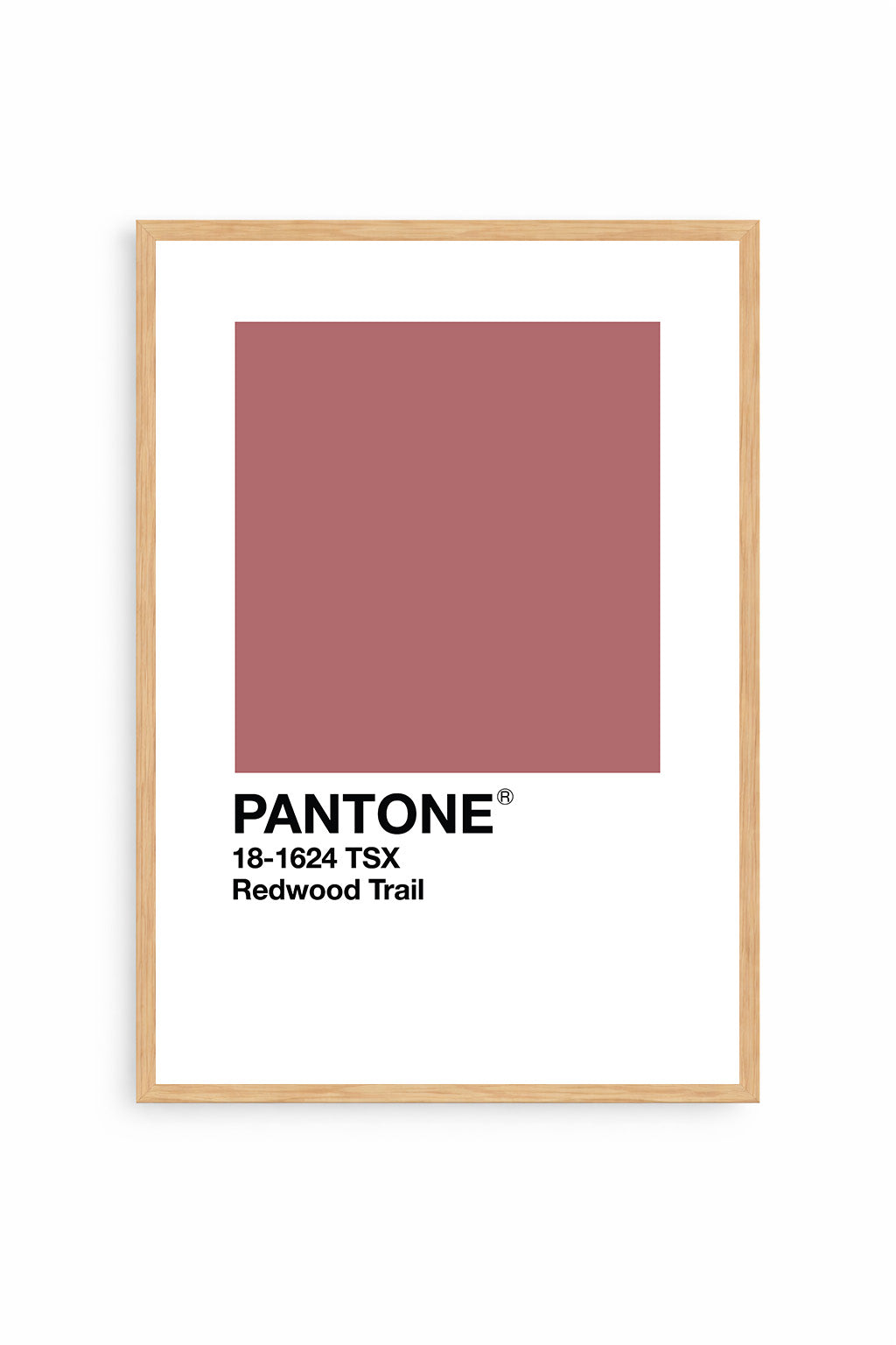Redwood Trail