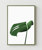 Soft Green