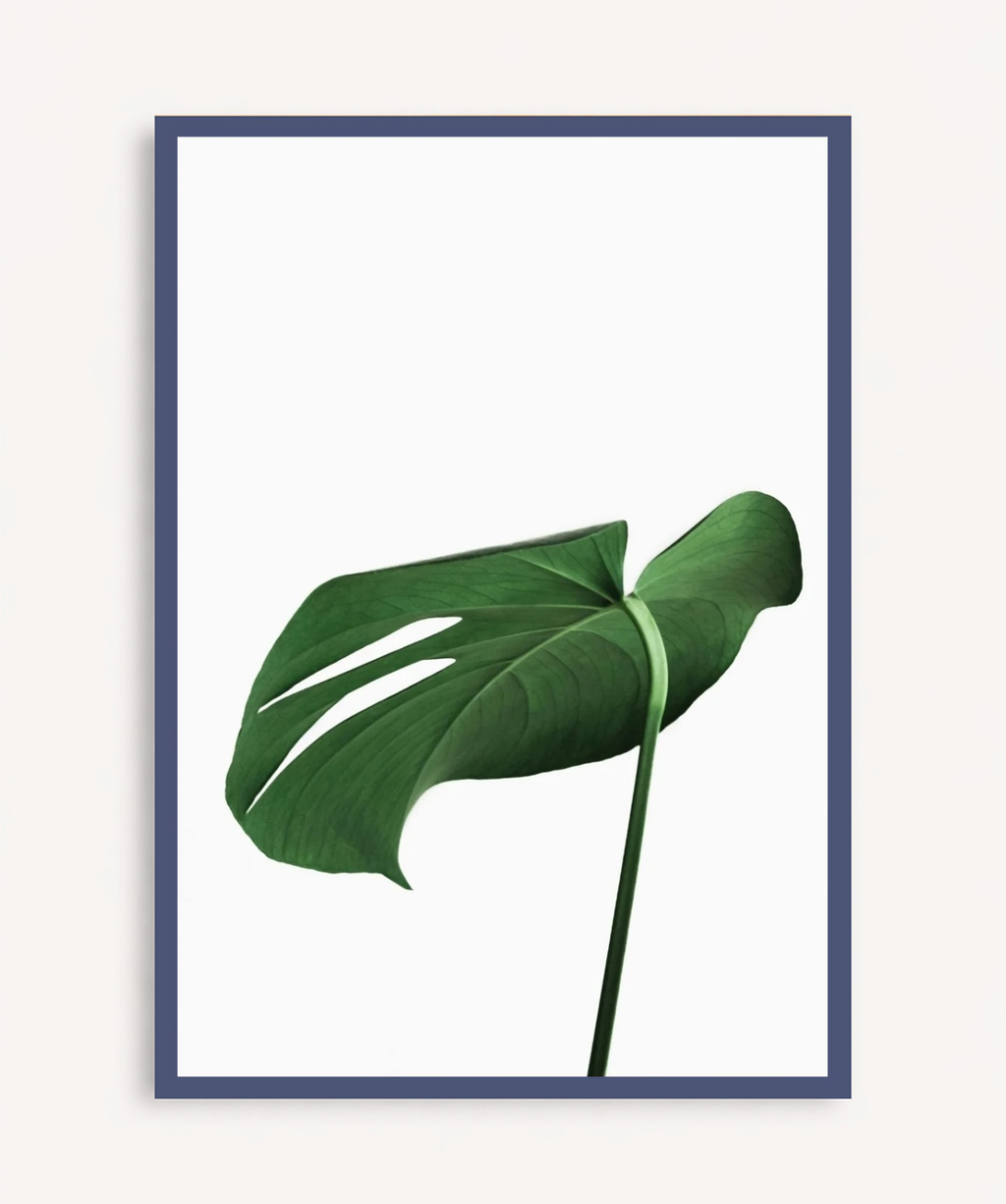 Soft Green