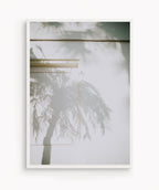 Sombra Tropical