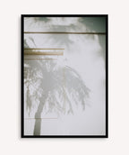 Sombra Tropical