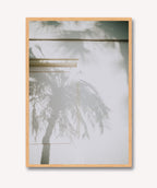 Sombra Tropical