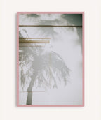 Sombra Tropical