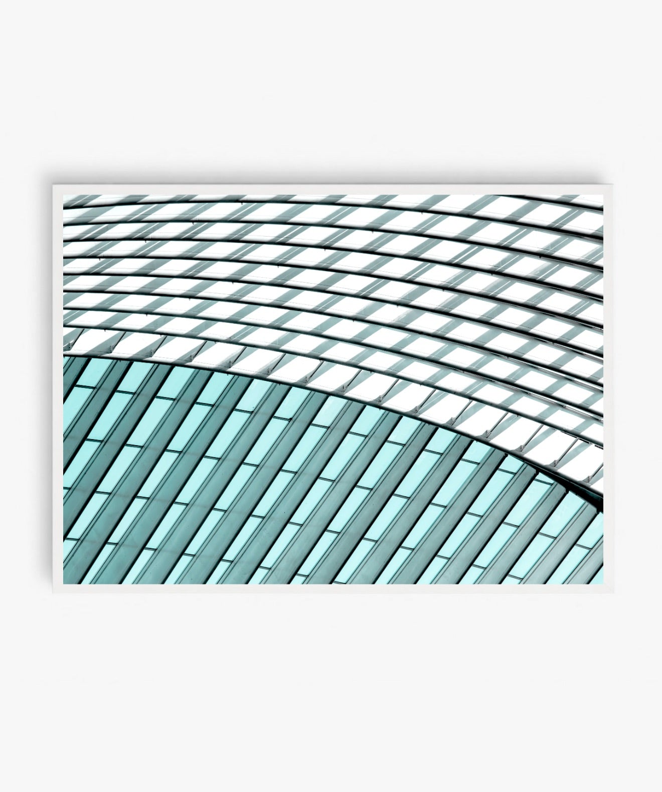 Textura Bicolor