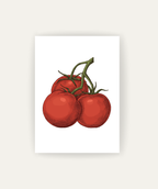 Tomates