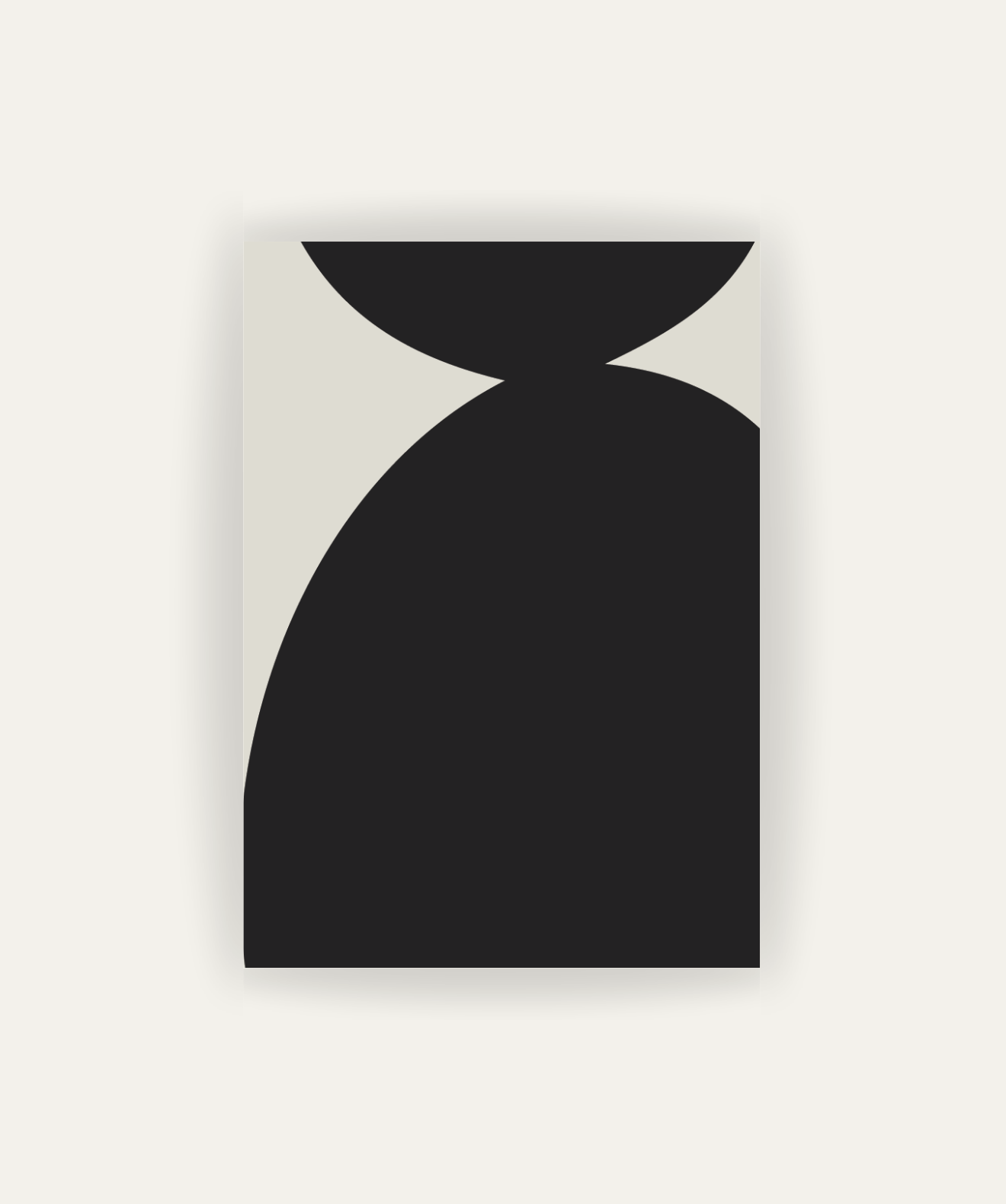 Torso