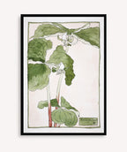 Cuadro Trillium Erectum