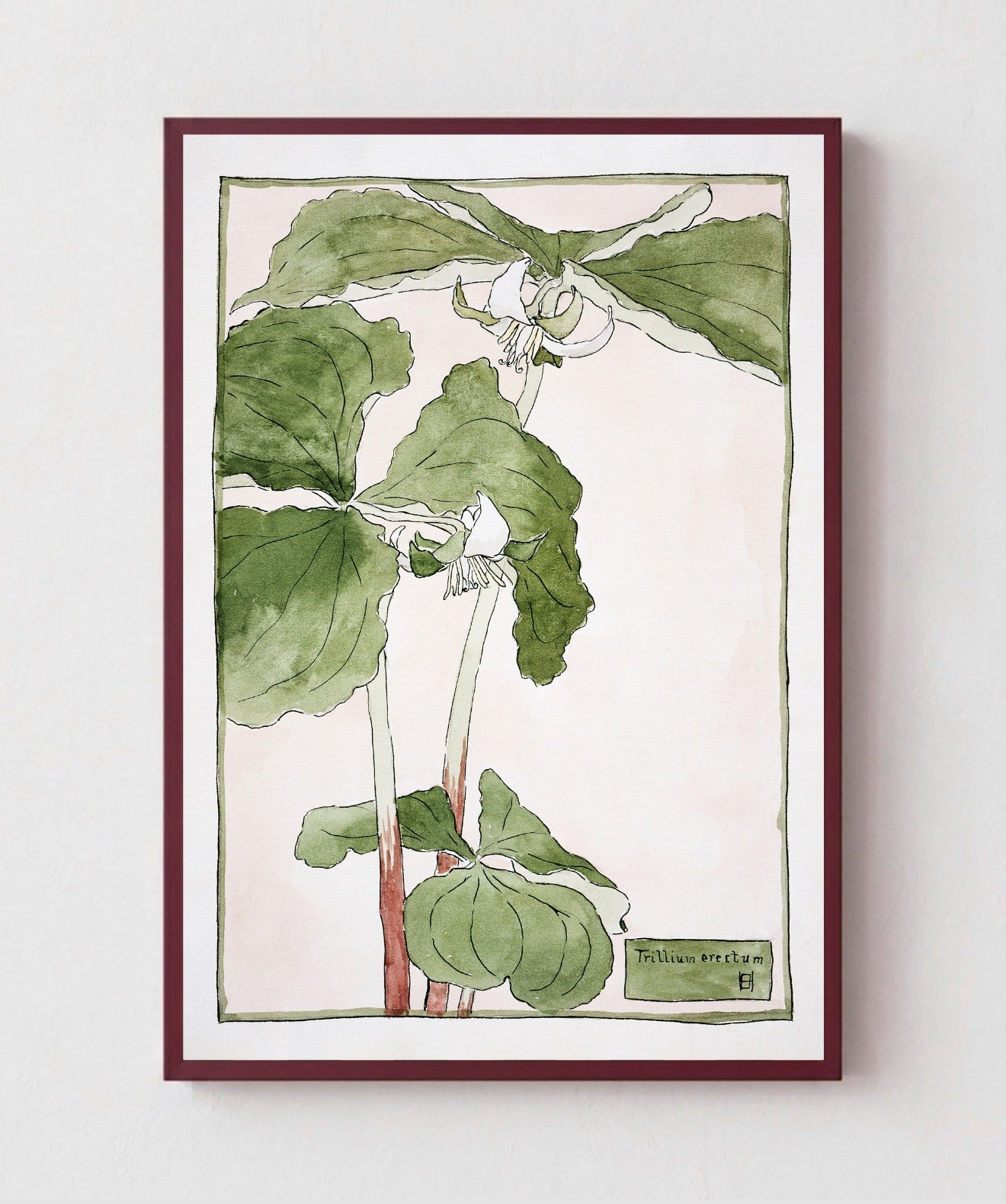 Cuadro Trillium Erectum