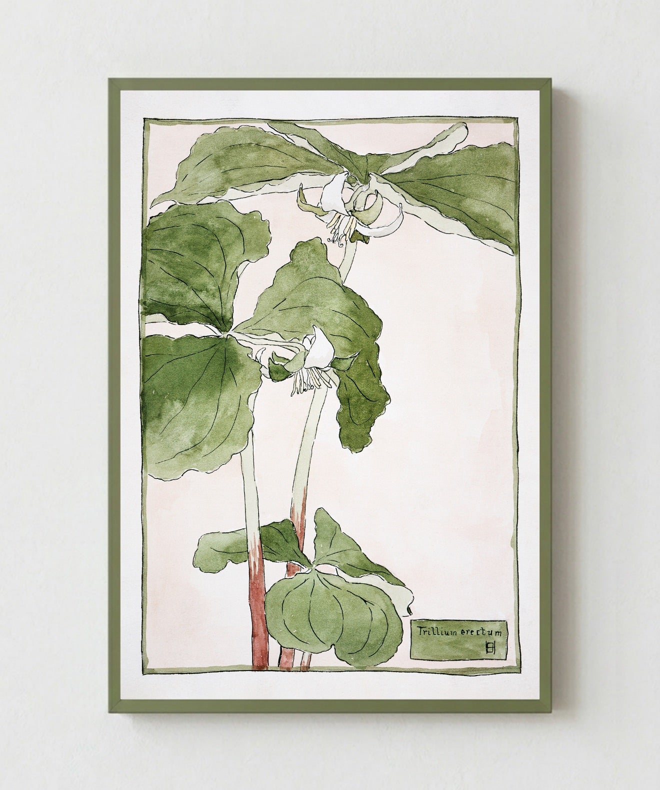Cuadro Trillium Erectum