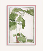 Cuadro Trillium Erectum