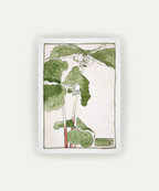 Cuadro Trillium Erectum