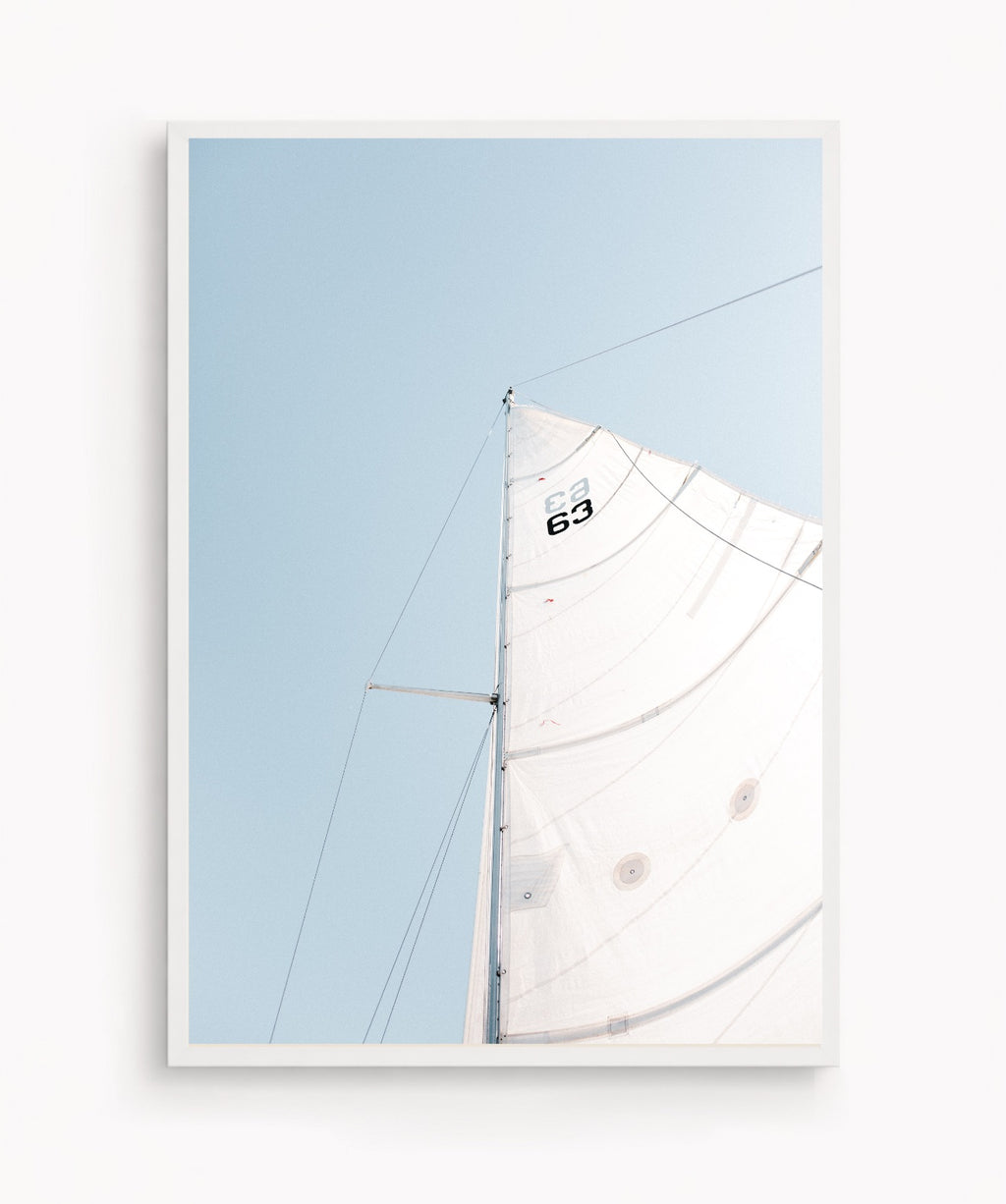 Vela