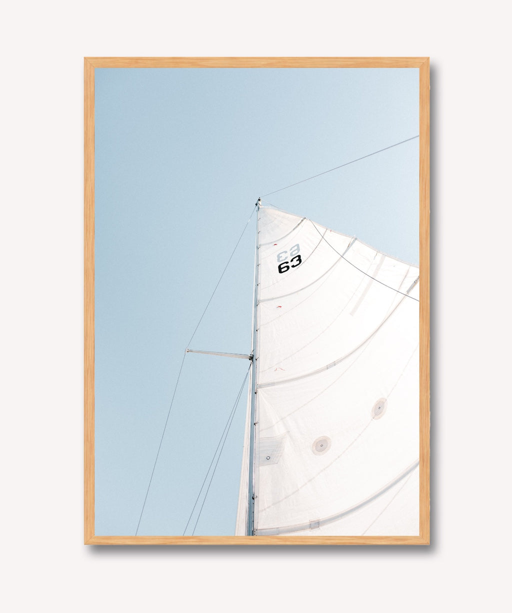 Vela