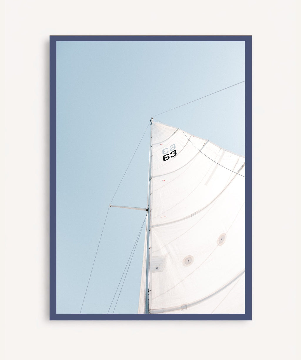 Vela