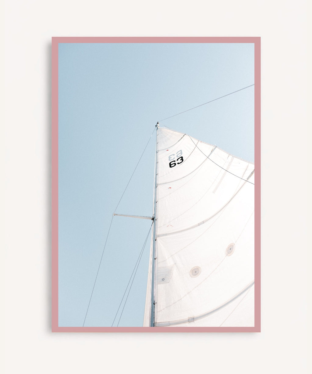 Vela