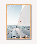 Velero