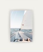 Velero