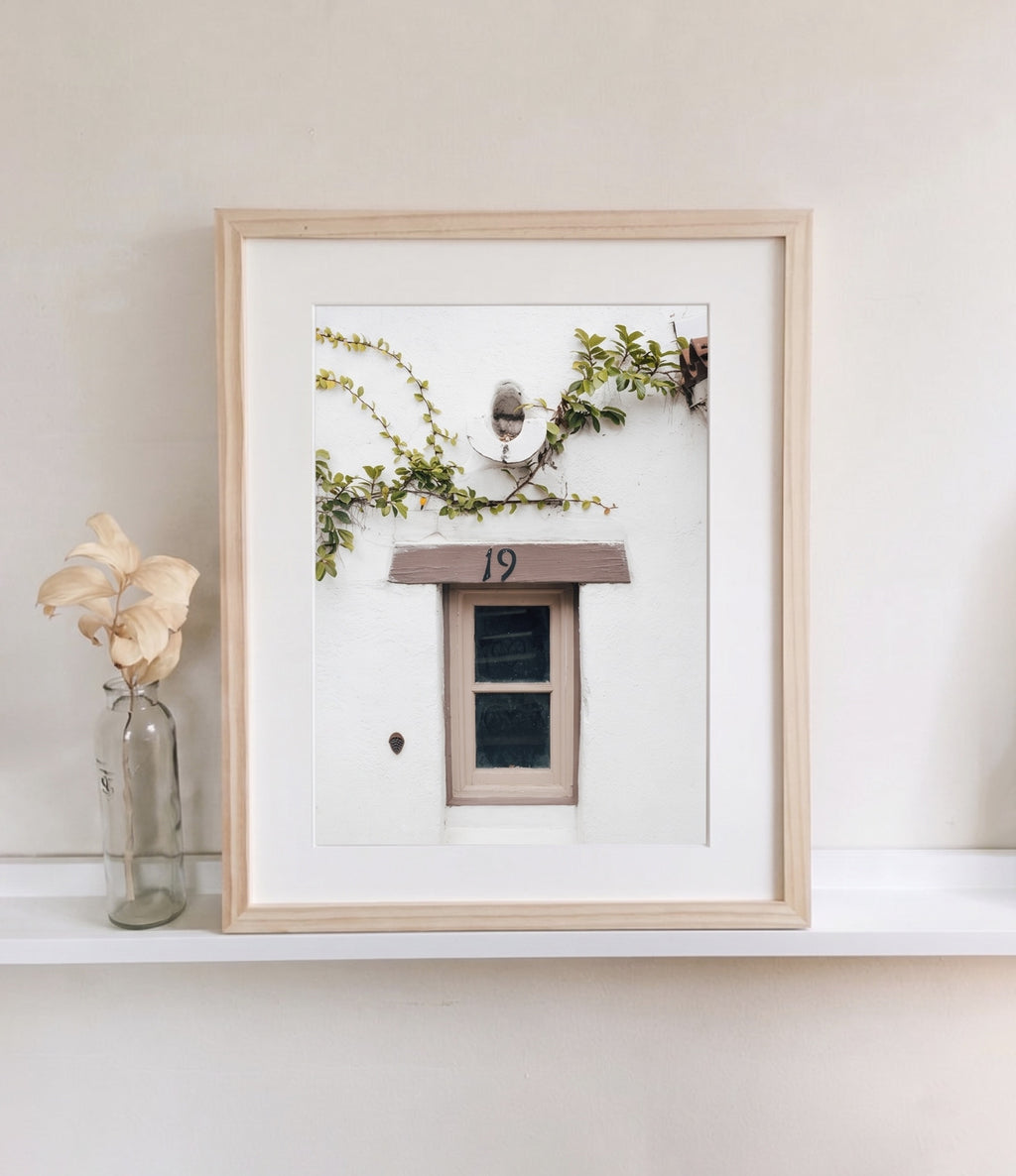 Ventana Viva