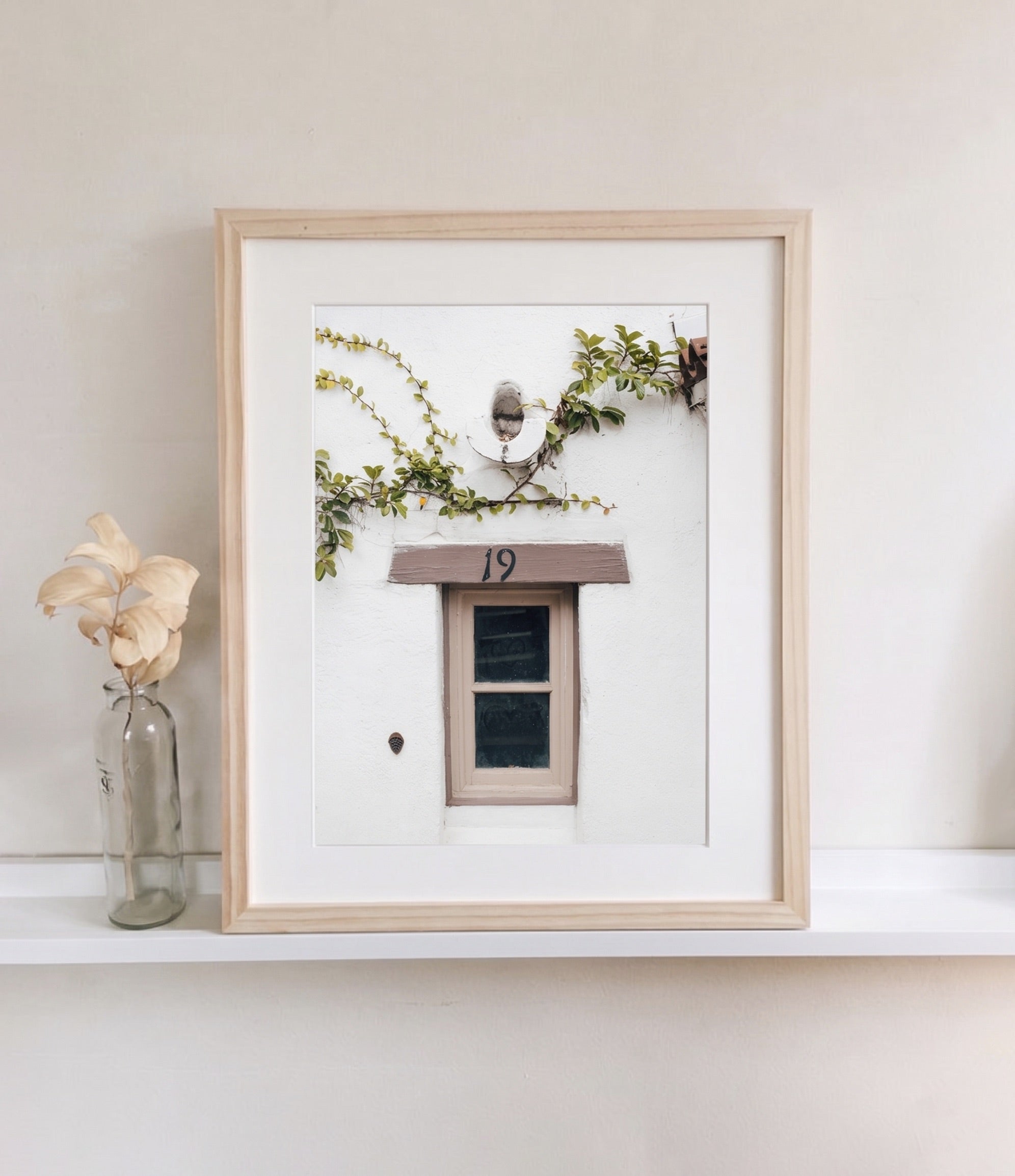 Ventana Viva