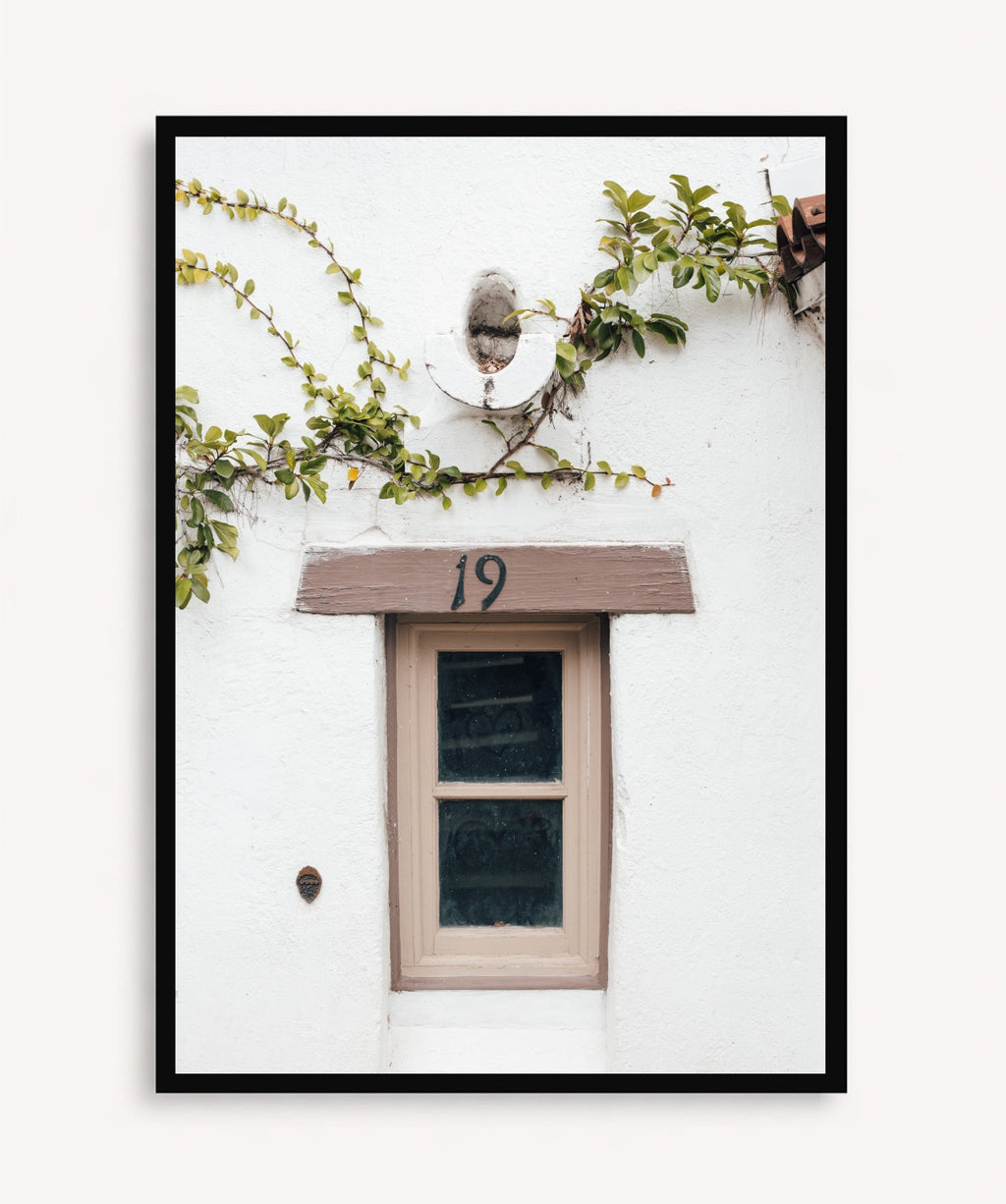 Ventana Viva