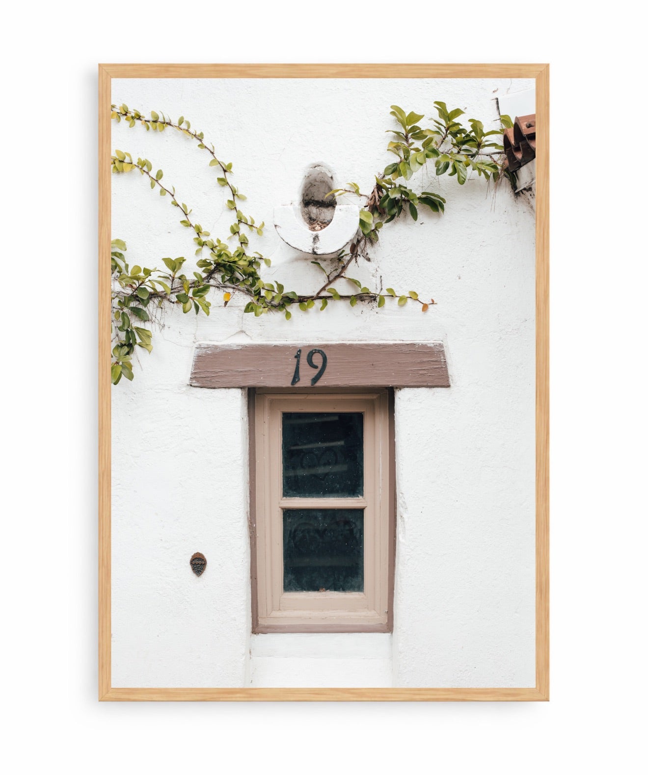 Ventana Viva