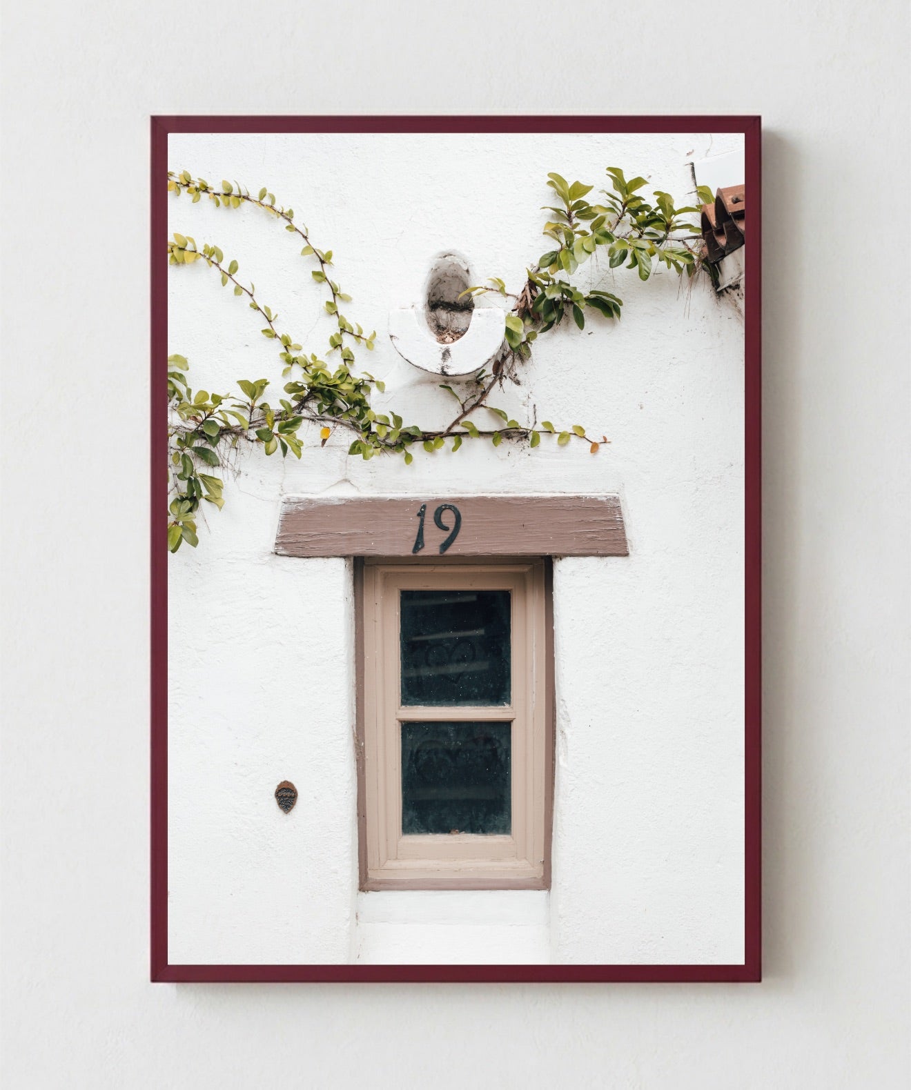 Ventana Viva