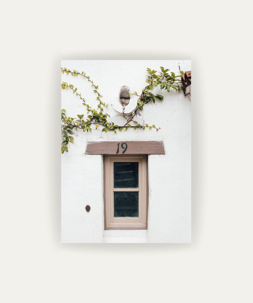 Ventana Viva