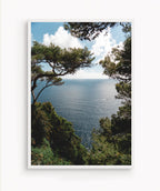 Vista Lago