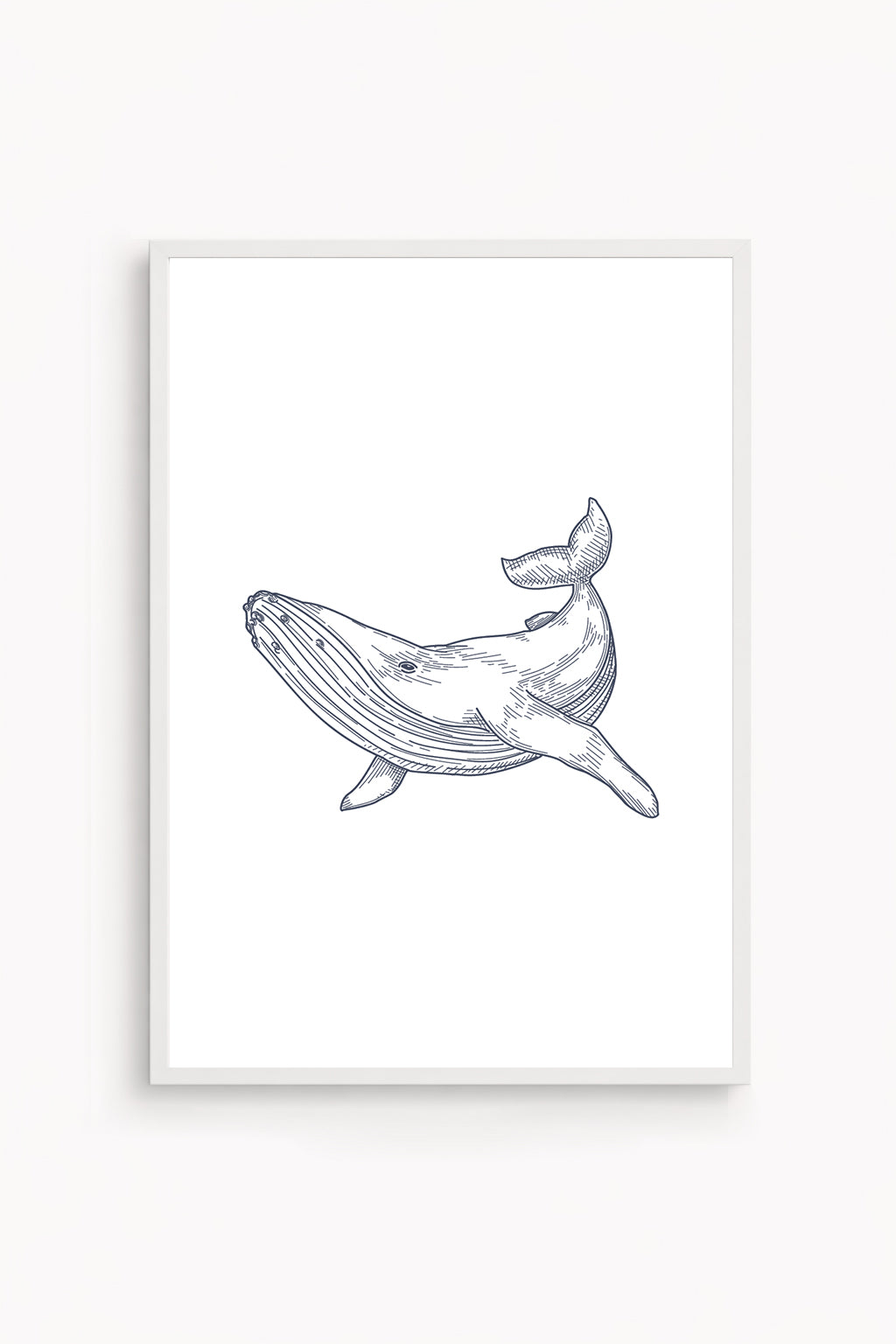 Whale