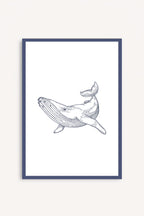 Whale