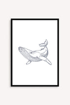 Whale
