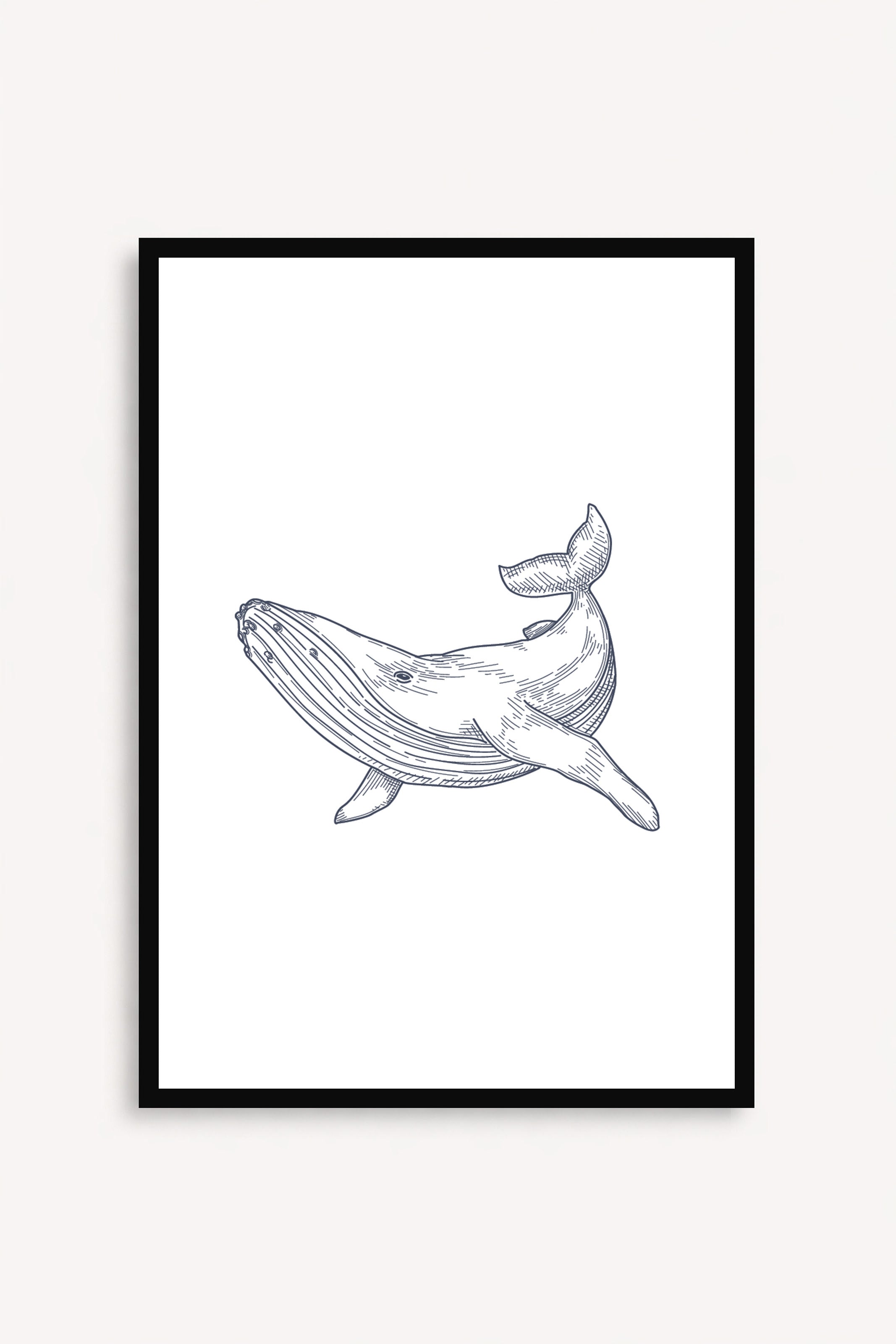 Whale