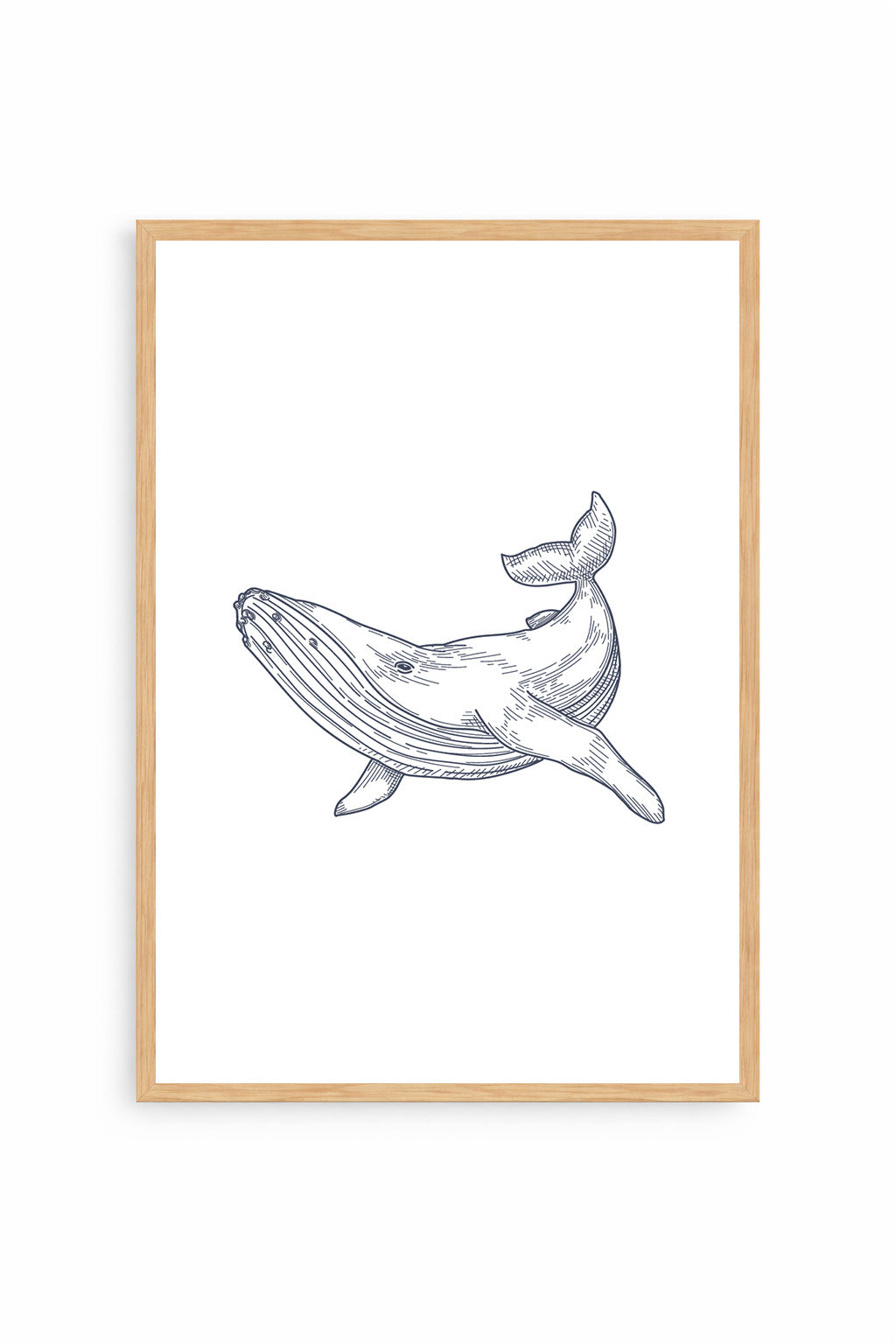 Whale