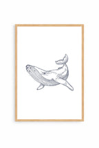Whale
