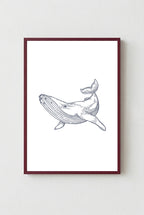 Whale