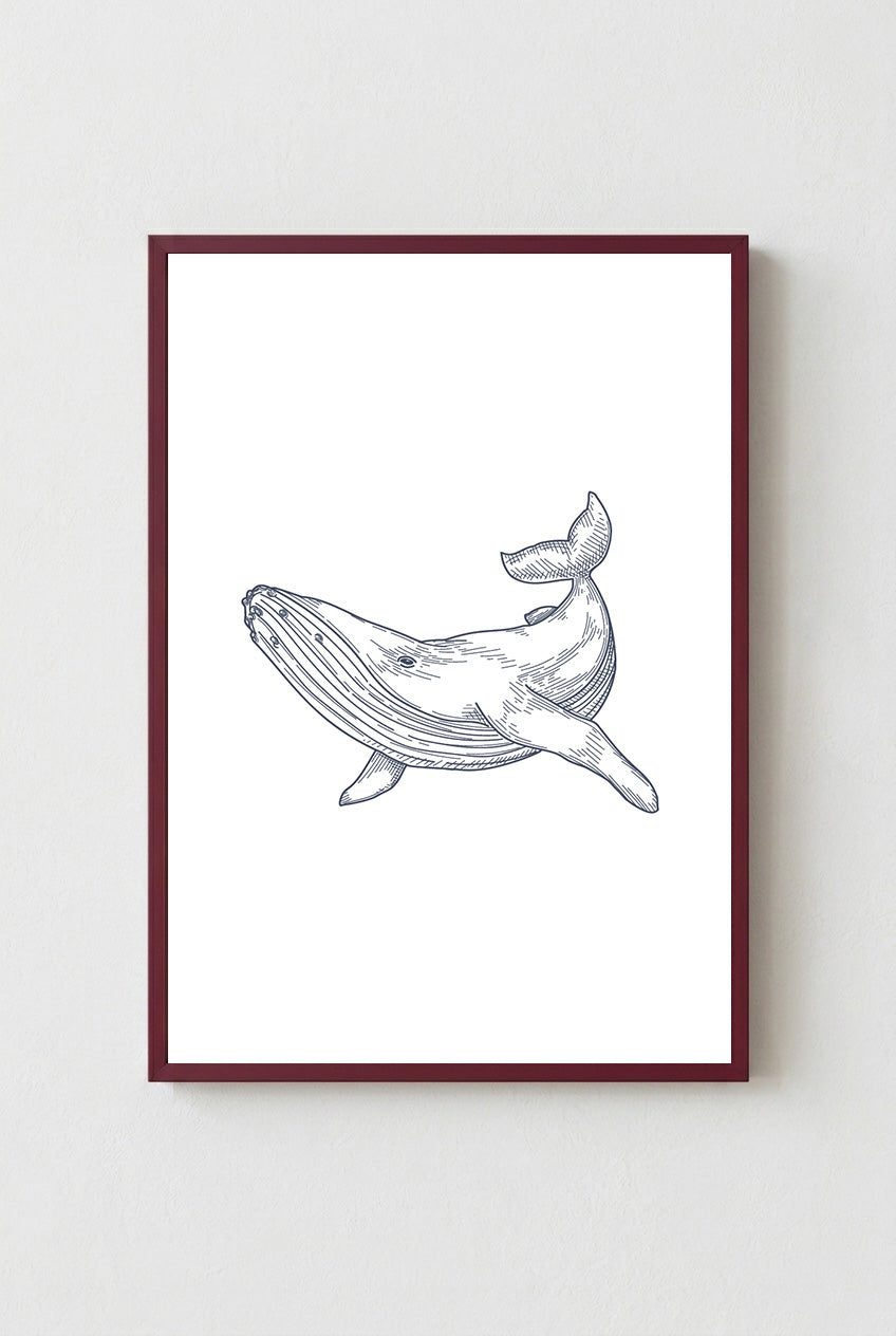 Whale