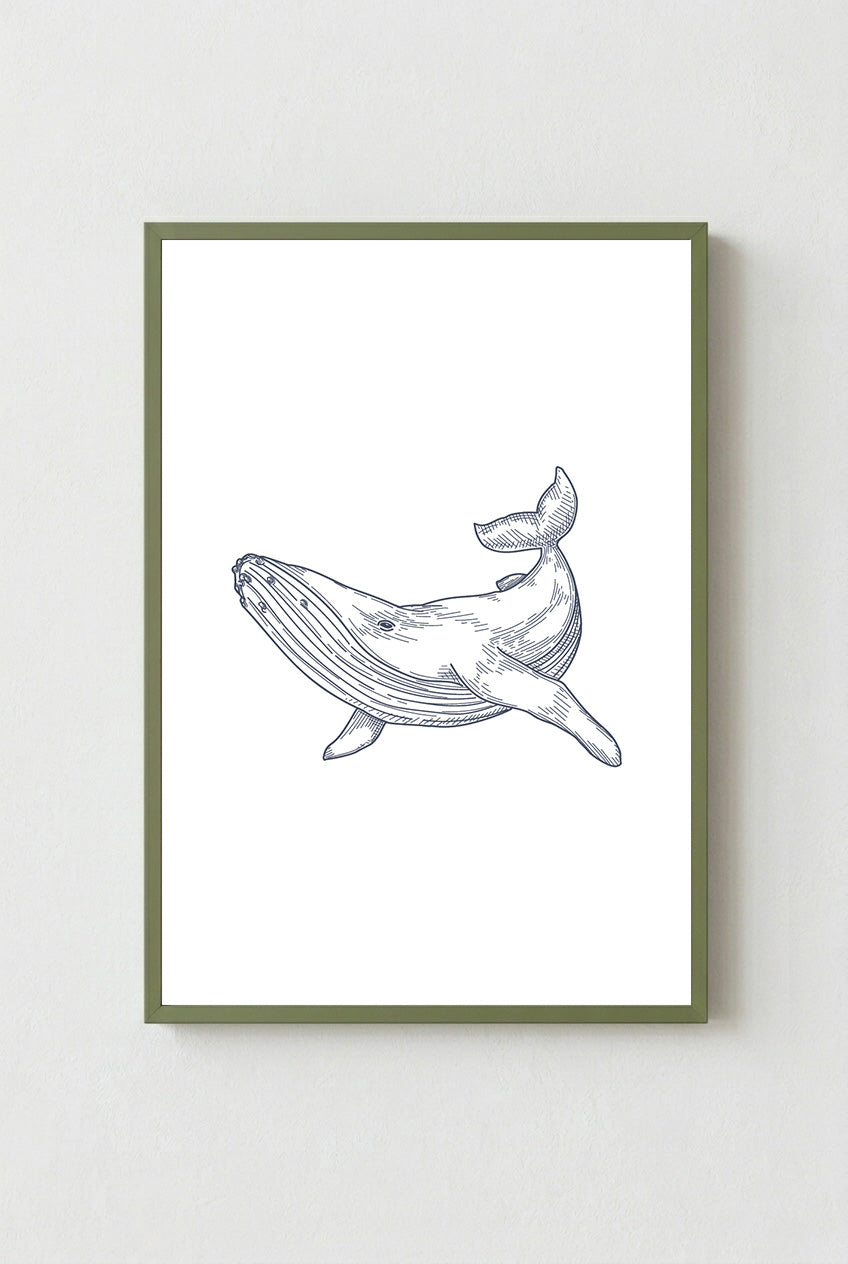 Whale