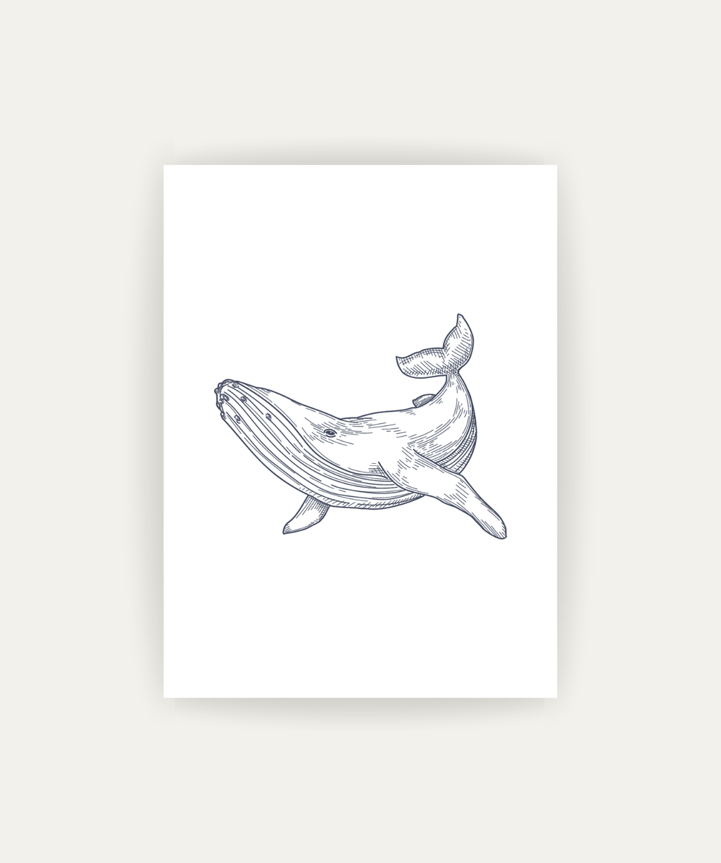 Whale