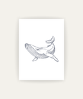 Whale