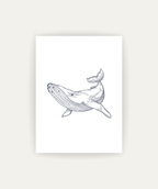 Whale