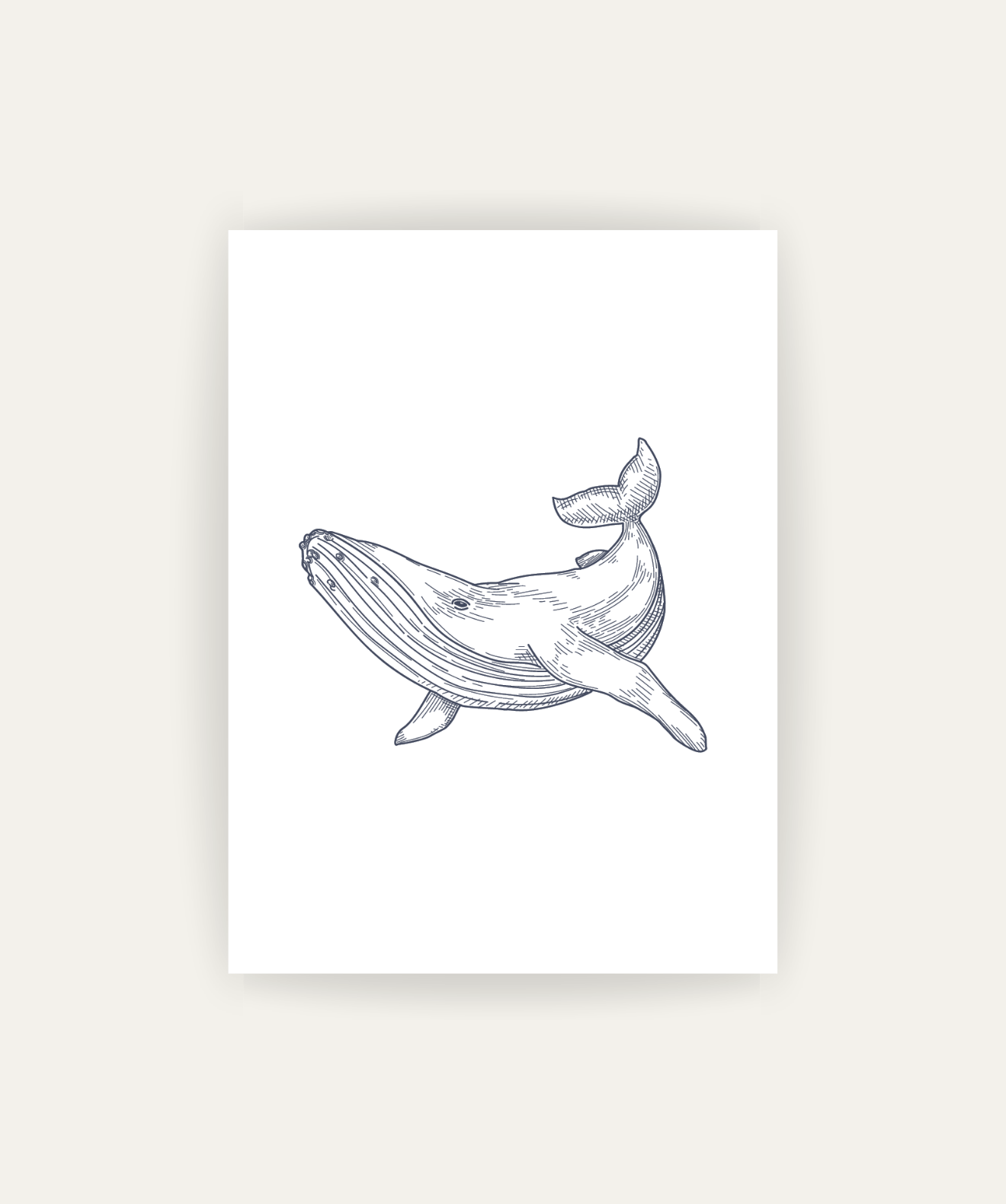 Whale